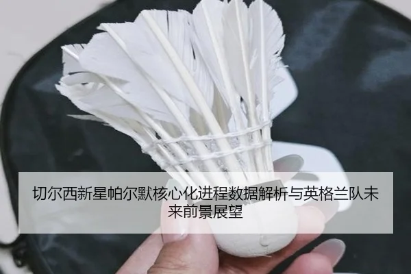 切尔西新星帕尔默核心化进程数据解析与英格兰队未来前景展望
